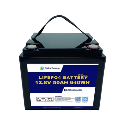 購入 12V 50AH LiFePo4 バッテリーとスマートBMSと 簡単に交換 online manufacture