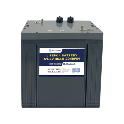 購入 ゴルフカート リチウム電池 LiFePO4 と通信機能を含む 48V40AH online manufacture